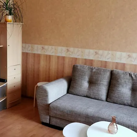 Apartment Sopruse Pst 8